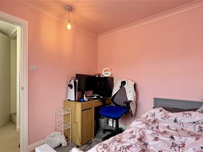 Picture 11